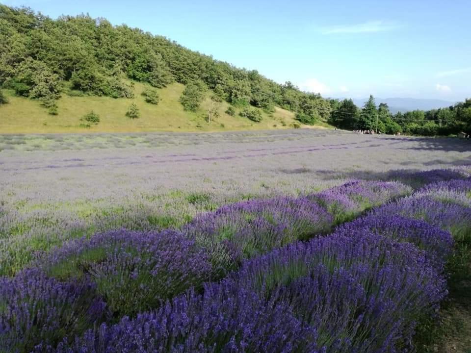 B&B I Girasoli Monte San Pietro Экстерьер фото