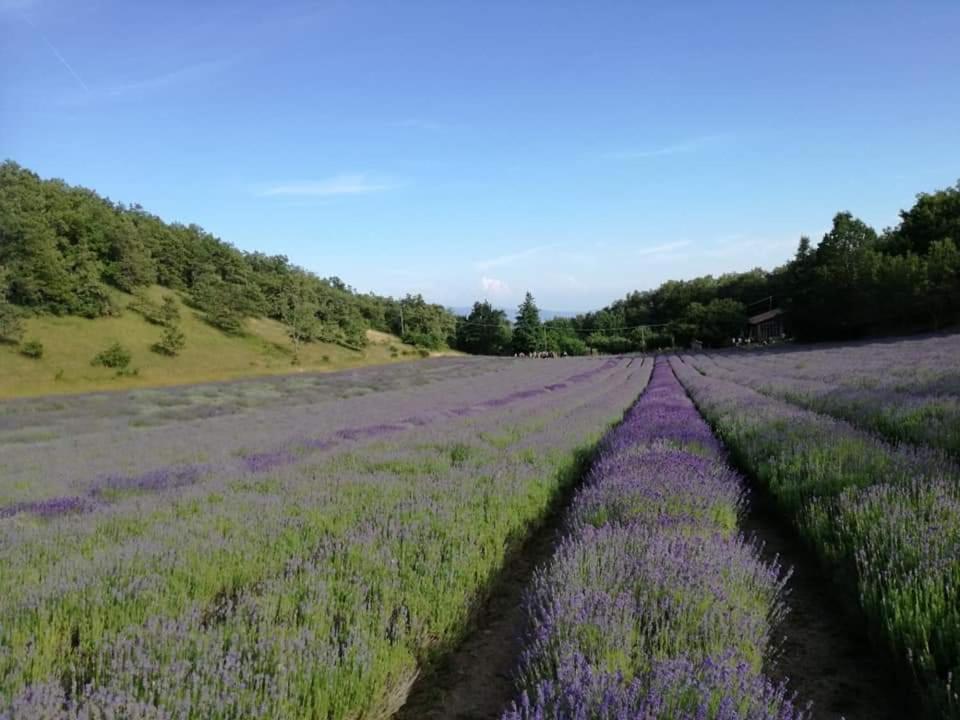 B&B I Girasoli Monte San Pietro Экстерьер фото